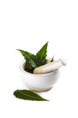 Harç ve havaneli ile tıbbi neem bırakır beyaz arka plan üzerinde