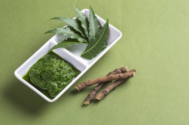 Tıbbi Neem Yapıştır yapraklar ve dallar ile yeşil arka plan üzerinde bırakır