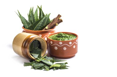 Tıbbi Neem yapıştır ile yaprakları ve beyaz arka plan üzerinde çırpı