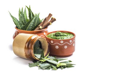 Tıbbi Neem yapıştır ile yaprakları ve beyaz arka plan üzerinde çırpı