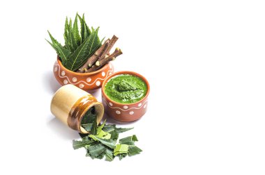 Tıbbi Neem yapıştır ile yaprakları ve beyaz arka plan üzerinde çırpı