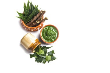 Tıbbi Neem yapıştır ile yaprakları ve beyaz arka plan üzerinde çırpı