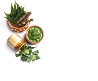 Tıbbi Neem yapıştır ile yaprakları ve beyaz arka plan üzerinde çırpı