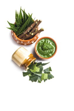 Tıbbi Neem yapıştır ile yaprakları ve beyaz arka plan üzerinde çırpı