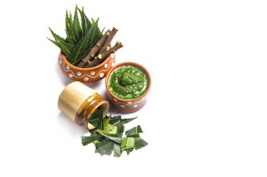 Tıbbi Neem yapıştır ile yaprakları ve beyaz arka plan üzerinde çırpı