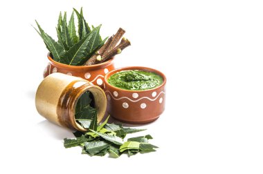 Tıbbi Neem yapıştır ile yaprakları ve beyaz arka plan üzerinde çırpı