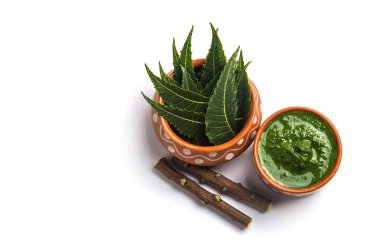 Tıbbi Neem yapıştır ile yaprakları ve beyaz arka plan üzerinde çırpı