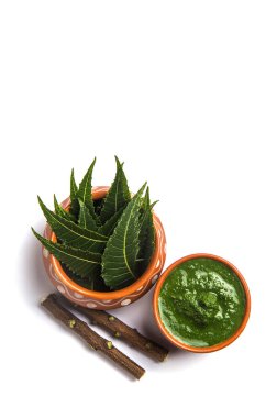 Tıbbi Neem yapıştır ile yaprakları ve beyaz arka plan üzerinde çırpı