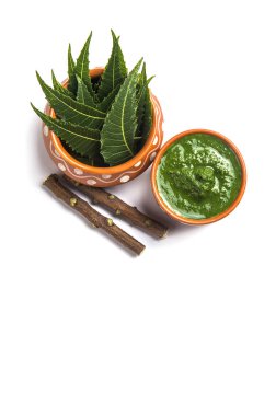 Tıbbi Neem yapıştır ile yaprakları ve beyaz arka plan üzerinde çırpı