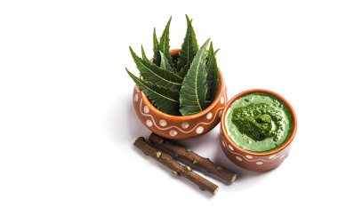 Tıbbi Neem yapıştır ile yaprakları ve beyaz arka plan üzerinde çırpı