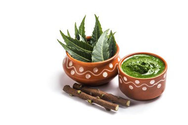 Tıbbi Neem yapıştır ile yaprakları ve beyaz arka plan üzerinde çırpı