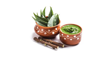 Tıbbi Neem yapıştır ile yaprakları ve beyaz arka plan üzerinde çırpı