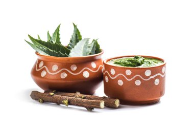 Tıbbi Neem yapıştır ile yaprakları ve beyaz arka plan üzerinde çırpı