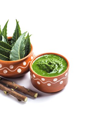 Tıbbi Neem yapıştır ile yaprakları ve beyaz arka plan üzerinde çırpı