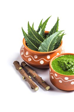 Tıbbi Neem yapıştır ile yaprakları ve beyaz arka plan üzerinde çırpı