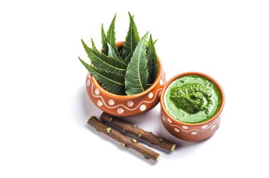 Tıbbi Neem yapıştır ile yaprakları ve beyaz arka plan üzerinde çırpı