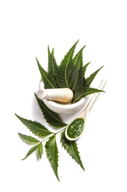 Tıbbi Neem yaprağı harç ve havaneli ile neem Yapıştır