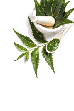 Tıbbi Neem yaprağı harç ve havaneli ile neem Yapıştır