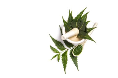 Tıbbi Neem yaprağı harç ve havaneli ile neem Yapıştır