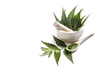 Tıbbi Neem yaprağı harç ve havaneli ile neem Yapıştır