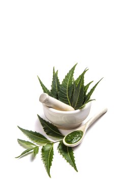 Tıbbi Neem yaprağı harç ve havaneli ile neem Yapıştır