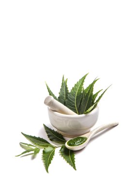 Tıbbi Neem yaprağı harç ve havaneli ile neem Yapıştır