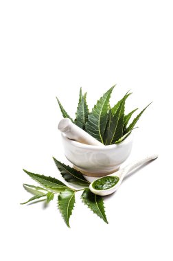 Tıbbi Neem yaprağı harç ve havaneli ile neem Yapıştır