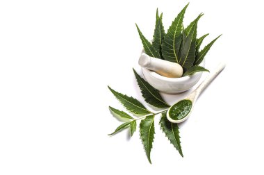 Tıbbi Neem yaprağı harç ve havaneli ile neem Yapıştır