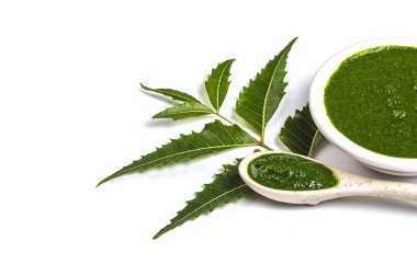 Beyaz arka planda (Azadirachta indica neem hamur kaşık ve plaka ile tıbbi Neem yaprağı)