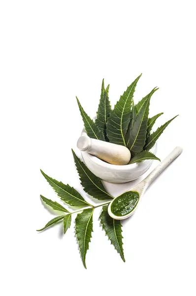 Medicinal Neem leaves in mortar and pestle with neem paste — Stock Photo, Image