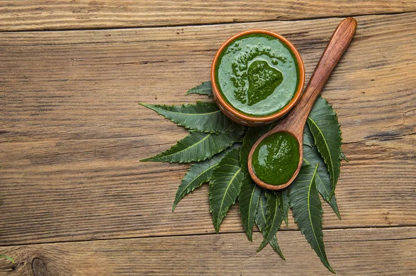 Medicinal Neem leaves with paste — Stock Photo, Image