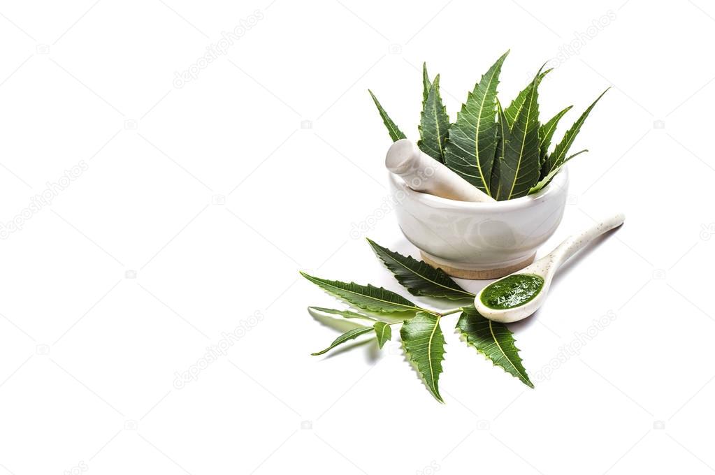 Medicinal Neem leaves in mortar and pestle with neem paste