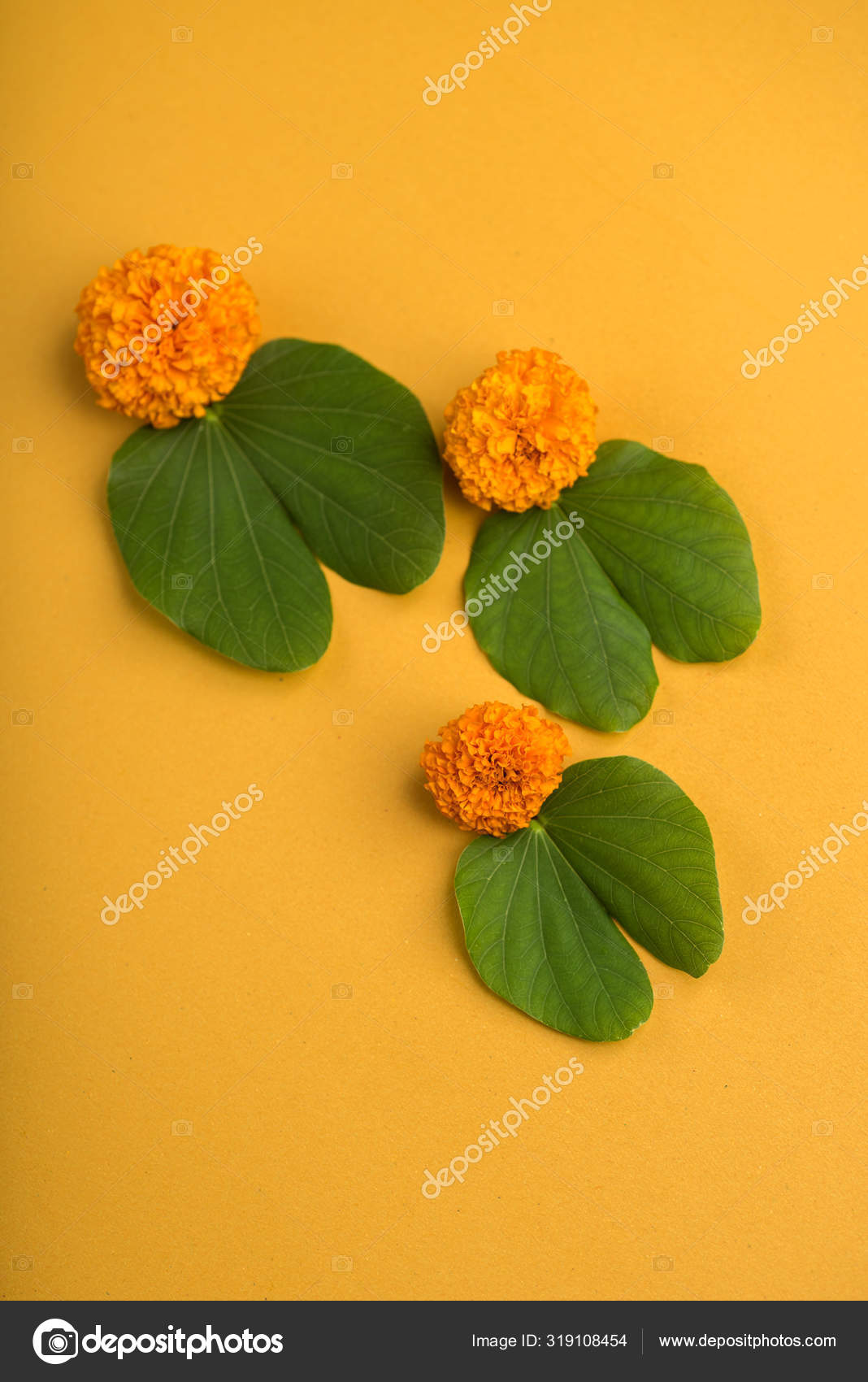 印第安人节indian Festival Dussehra 展示金黄色的叶子紫杉属和黄色背景的菊花 图库照片 C Dipakshelare