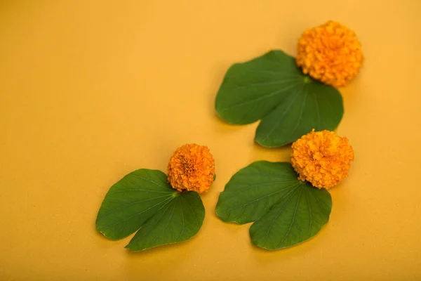 Festival Indiano Dussehra Mostrando Folha Dourada Bauhinia Racemosa Flores Calêndula — Fotografia de Stock