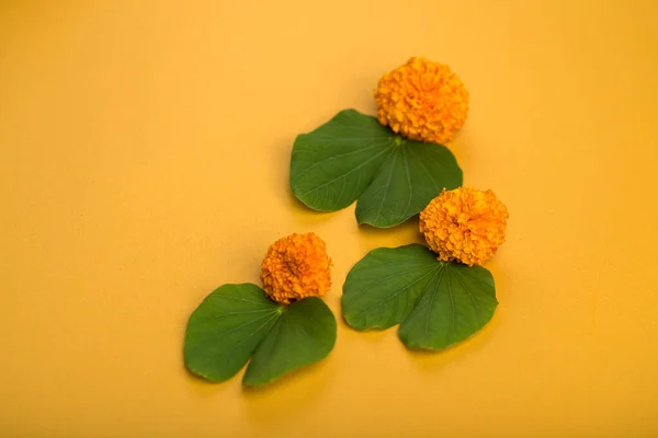 인도의 Dussehra 황금빛 Bauhinia Racemosa 과노란 배경에 화강암 — 스톡 사진