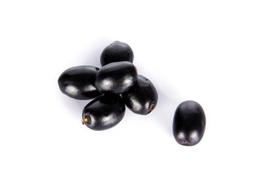 Jambolan eriği veya Java eriği (Syzygium cumini)