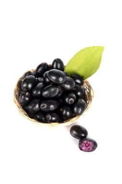 Jambolan eriği veya Java eriği (Syzygium cumini)