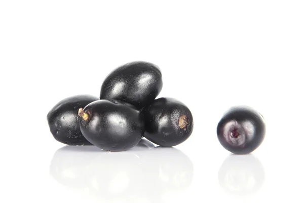 Jambolan eriği veya Java eriği (Syzygium cumini)