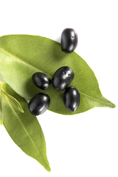 Jambolan Pflaume Oder Java Pflaume Syzygium Cumini — Stockfoto