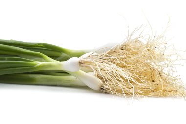 Taze taze taze taze taze taze soğan (soğan ya da soğan) beyaz arka planda