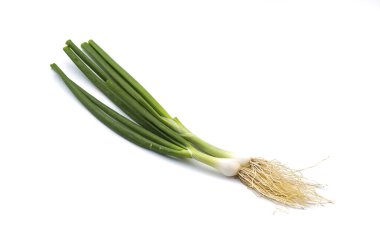 Taze taze taze taze taze taze soğan (soğan ya da soğan) beyaz arka planda