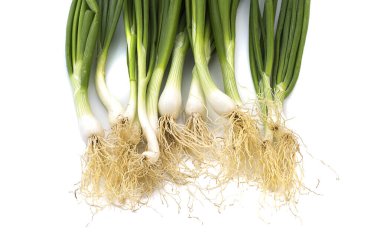 Taze taze taze taze taze taze soğan (soğan ya da soğan) beyaz arka planda