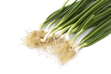 Taze taze taze taze taze taze soğan (soğan ya da soğan) beyaz arka planda