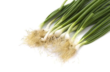 Taze taze taze taze taze taze soğan (soğan ya da soğan) beyaz arka planda