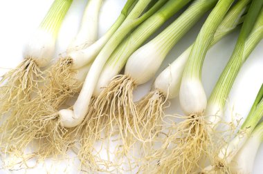 Taze taze taze taze taze taze soğan (soğan ya da soğan) beyaz arka planda