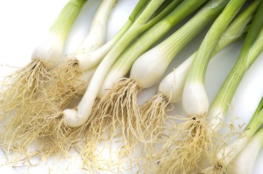 Taze taze taze taze taze taze soğan (soğan ya da soğan) beyaz arka planda