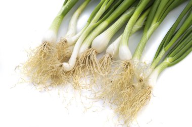 Taze taze taze taze taze taze soğan (soğan ya da soğan) beyaz arka planda
