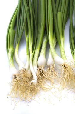 Taze taze taze taze taze taze soğan (soğan ya da soğan) beyaz arka planda