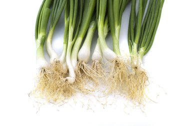 Taze taze taze taze taze taze soğan (soğan ya da soğan) beyaz arka planda