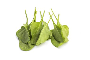 Beyaz arka planda izole edilmiş taze yeşil ıspanak yakın çekim